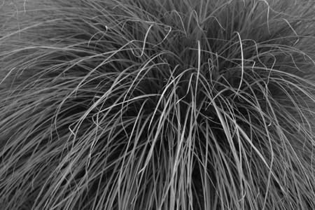 DSCF0037