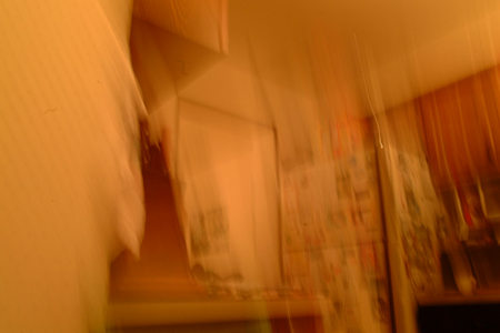 DSCF0110
