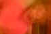 DSCF0112