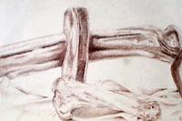 draw1.jpg (36070 bytes)
