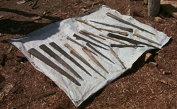 881a.jpg (29316 bytes)